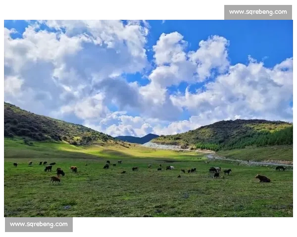 巫溪红池坝云端冲锋!永康式热血招募点燃山城激情